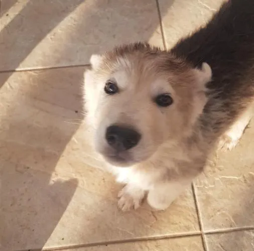 Farm stay Il Praedio Della Reale Ginosa