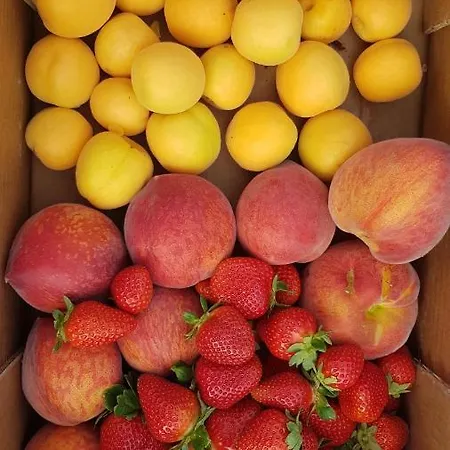 Alojamento de Turismo Rural Il Praedio Della Reale