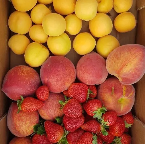 Farma Il Praedio Della Reale